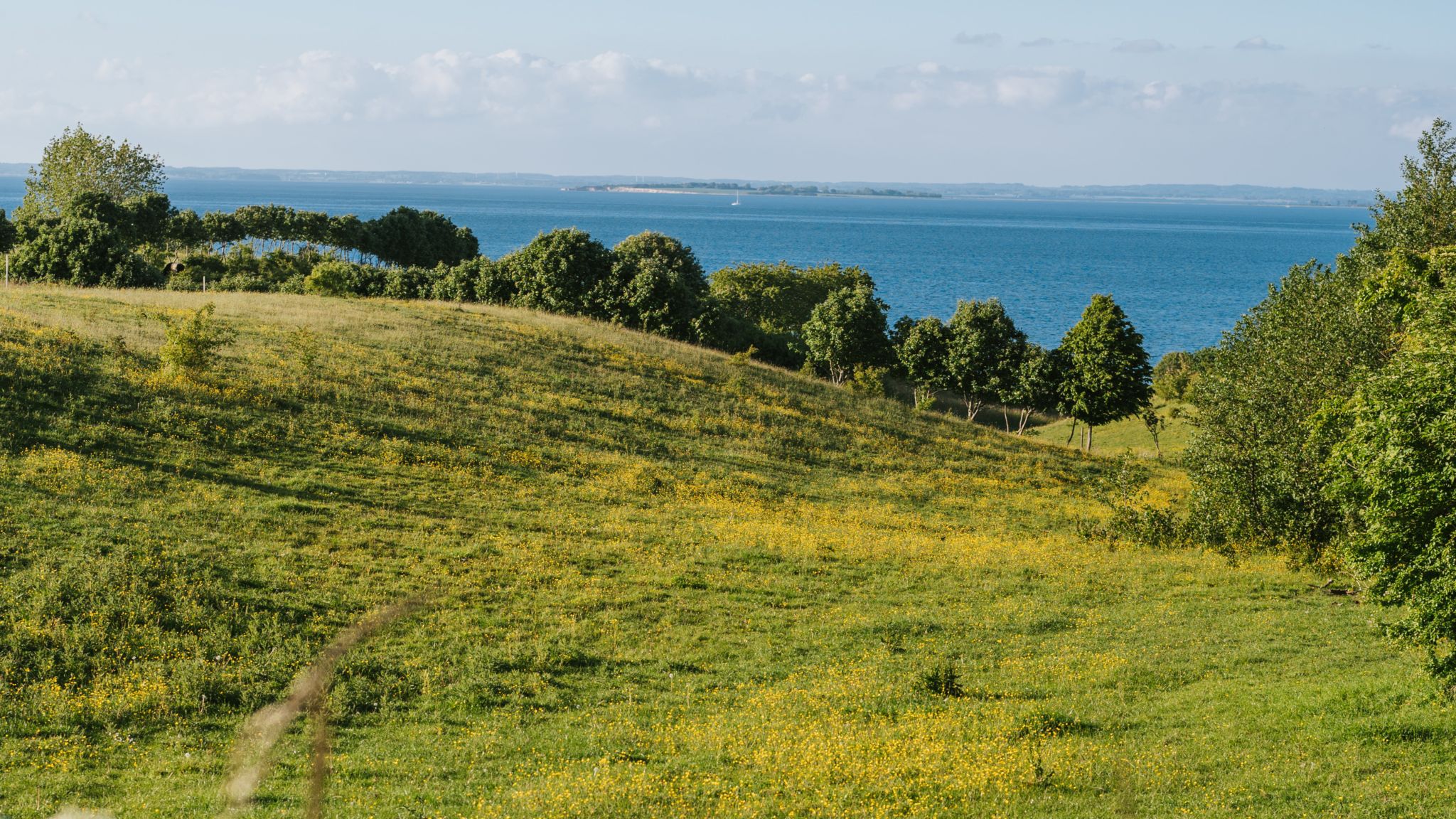 Inselmeer-Wanderwegs auf Ærø