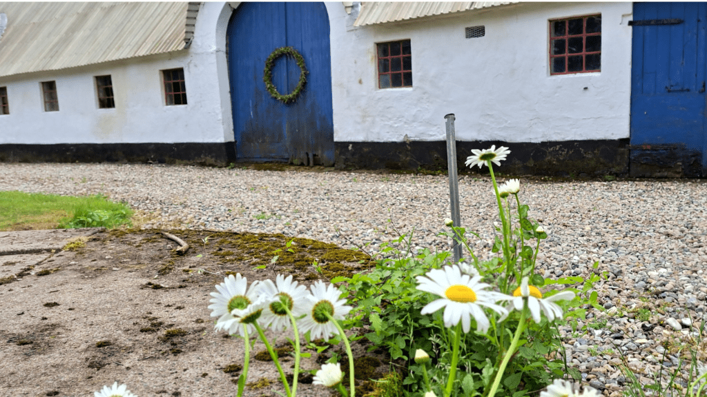 Old whitewashed farmhouse with blue doors