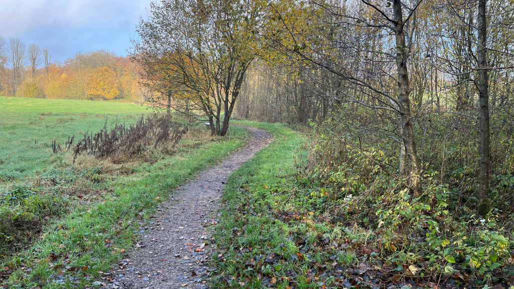 Vandresti i Hjelm Skov