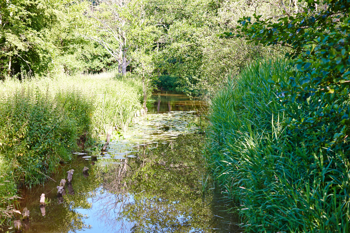 Nykøbing Falster Youth Hostel