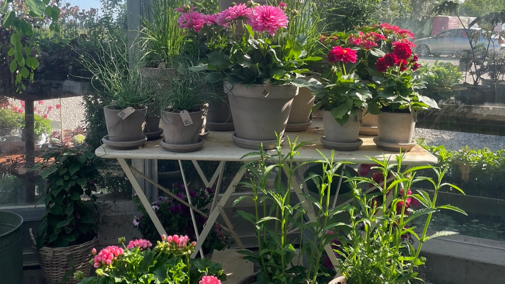 Christiansmindevej's Plantecenter