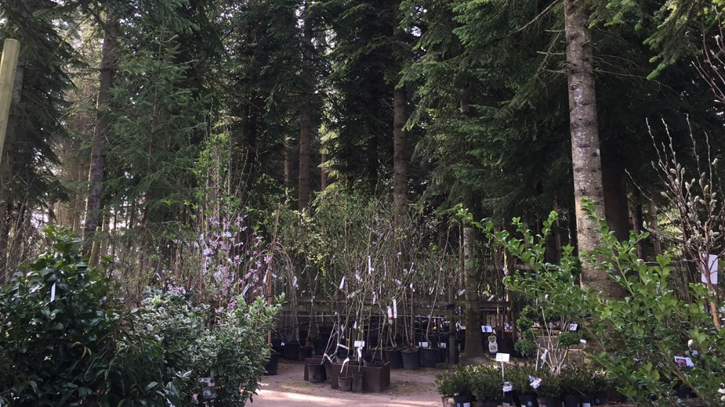 Christiansmindevej's Plantecenter