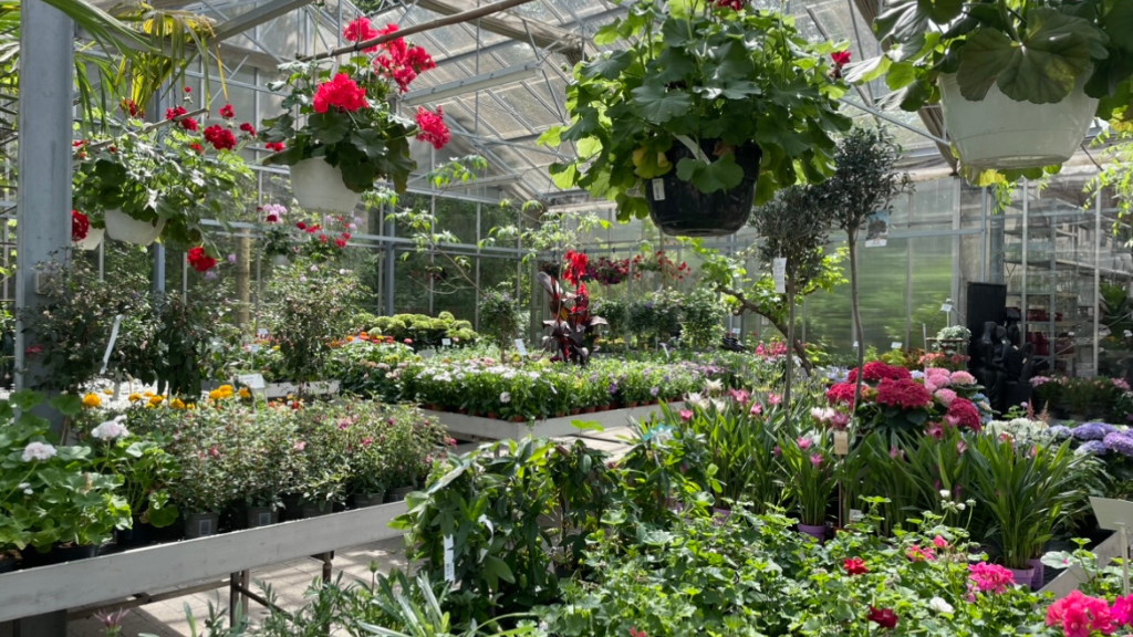 Christiansmindevej's Plantecenter