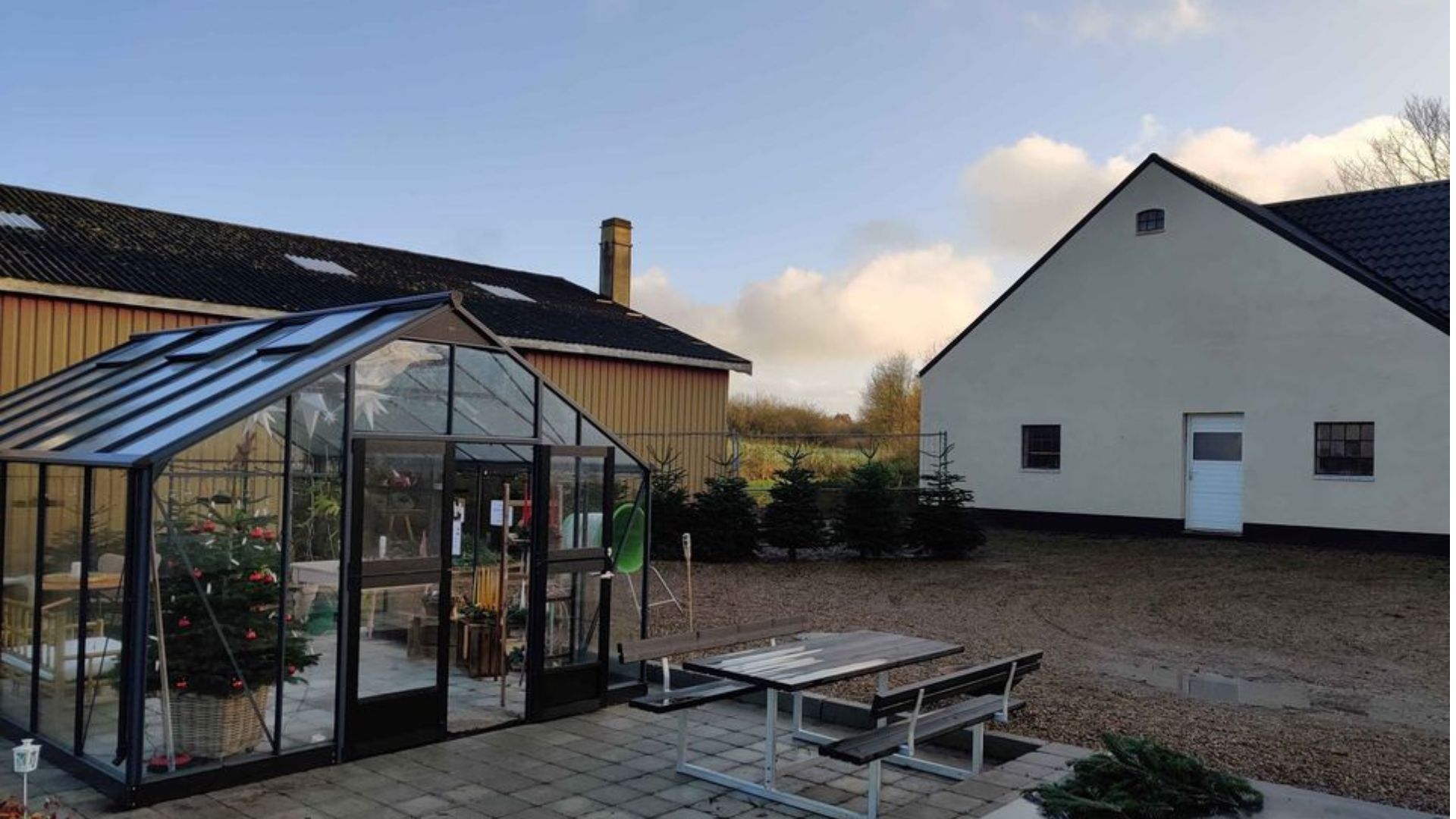 Pedersballe Juletræer