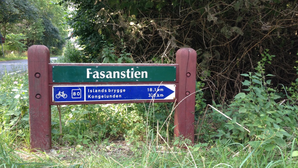 Cykelrute 80 Fasanstien