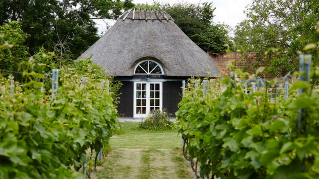 Lille sort hus med stråtag og vinranker til højre og venstre.