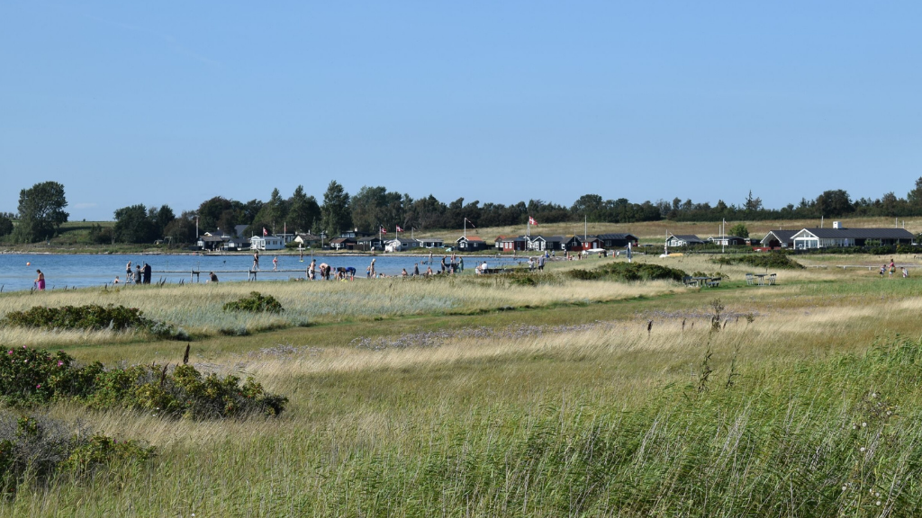 Billede af en strand set inde fra græsset af, med udsigt over strandkanten og havet.