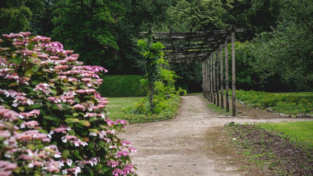 Small paths lead around a cozy park with a pink bush in the foreground.