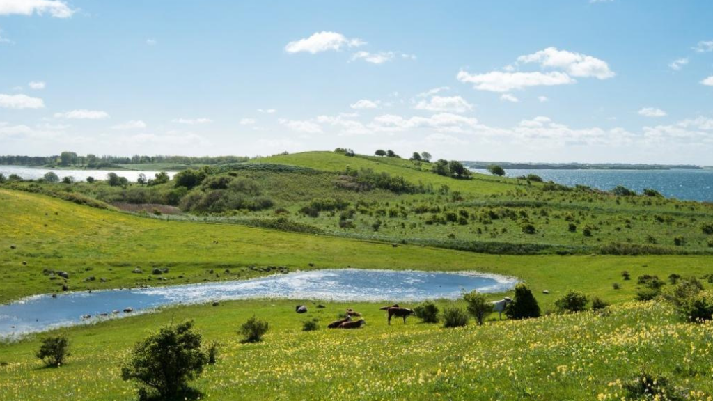 Beautiful green fields with a clear lake in the middle and the sea in the background.