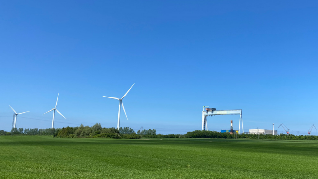 Grøn mark med vindmøller i baggrunden og blå himmel.