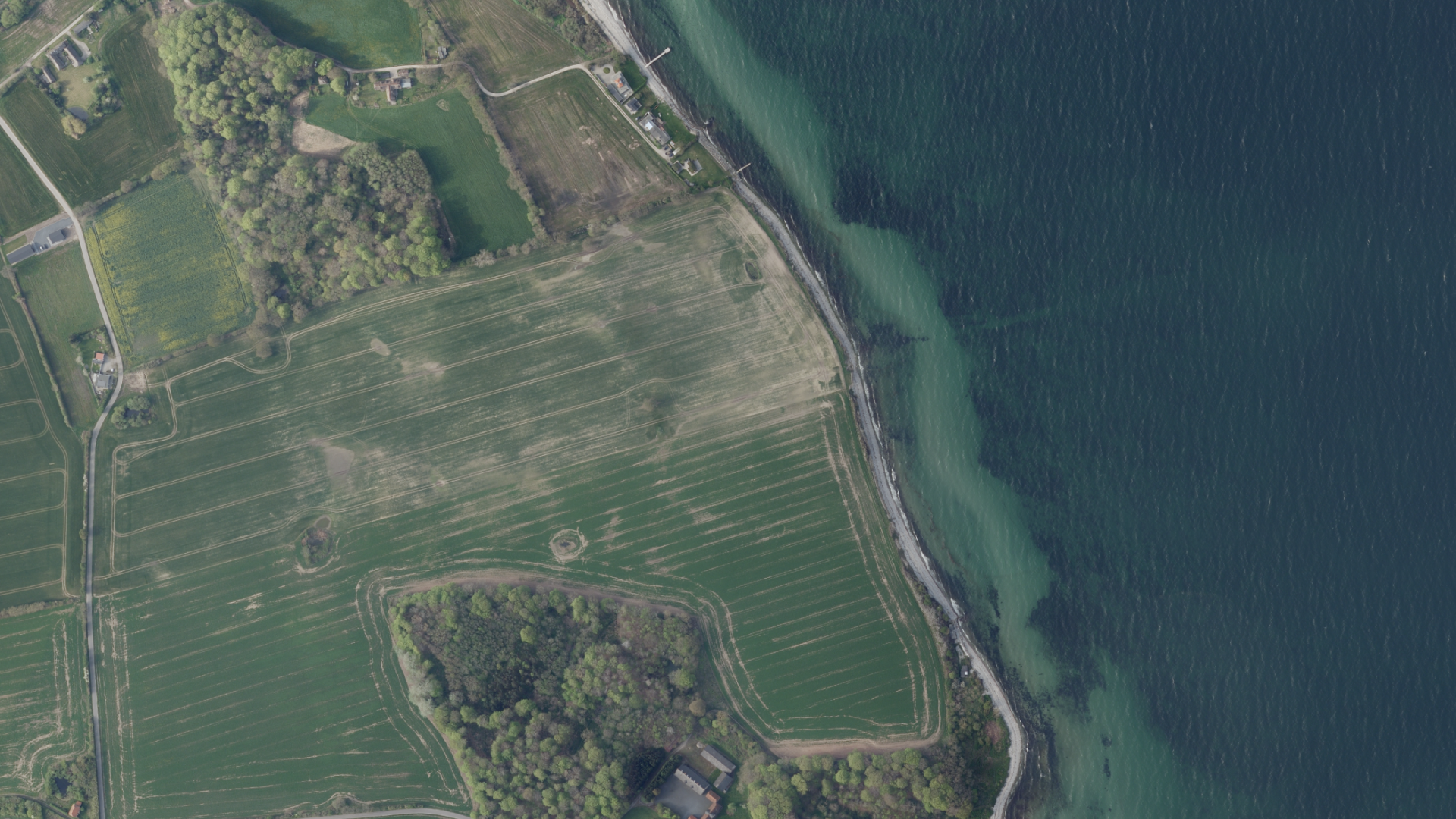 Aerial view of a coastline
