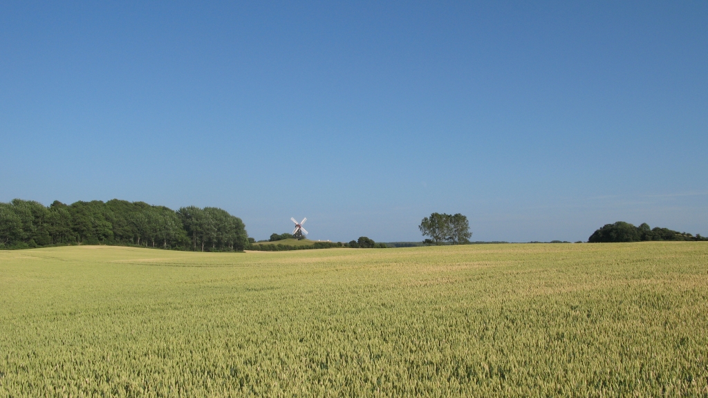 Skovsgaard Mølle