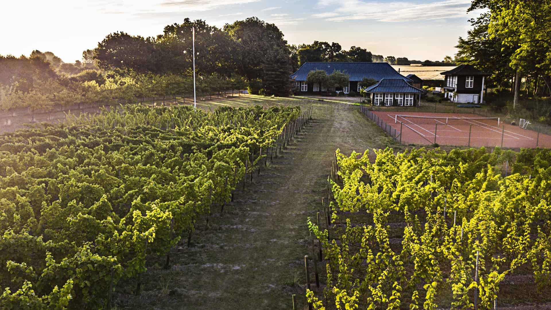 Stokkebye Vingård