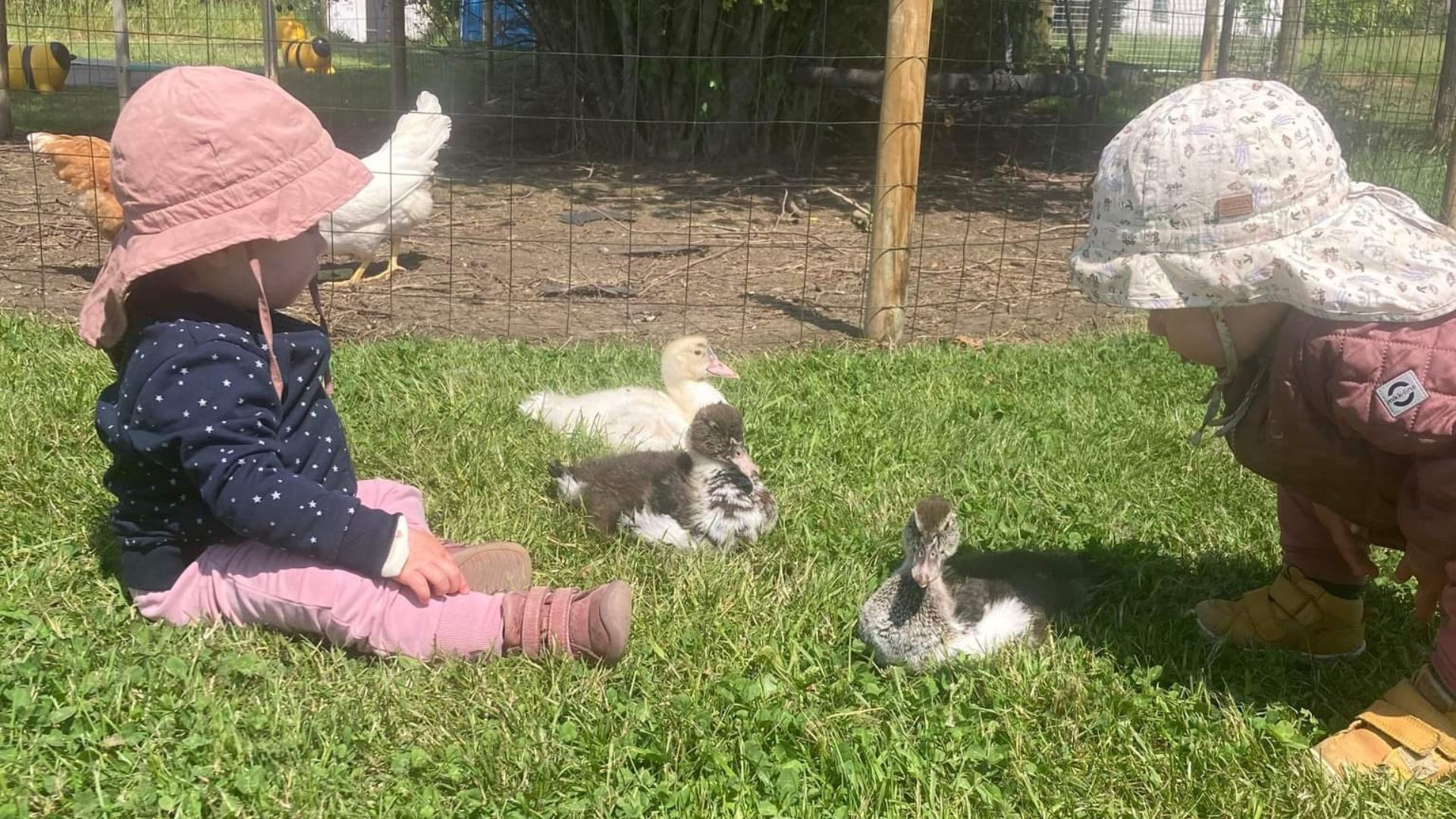 Nørregårdsminde Visitor Farm