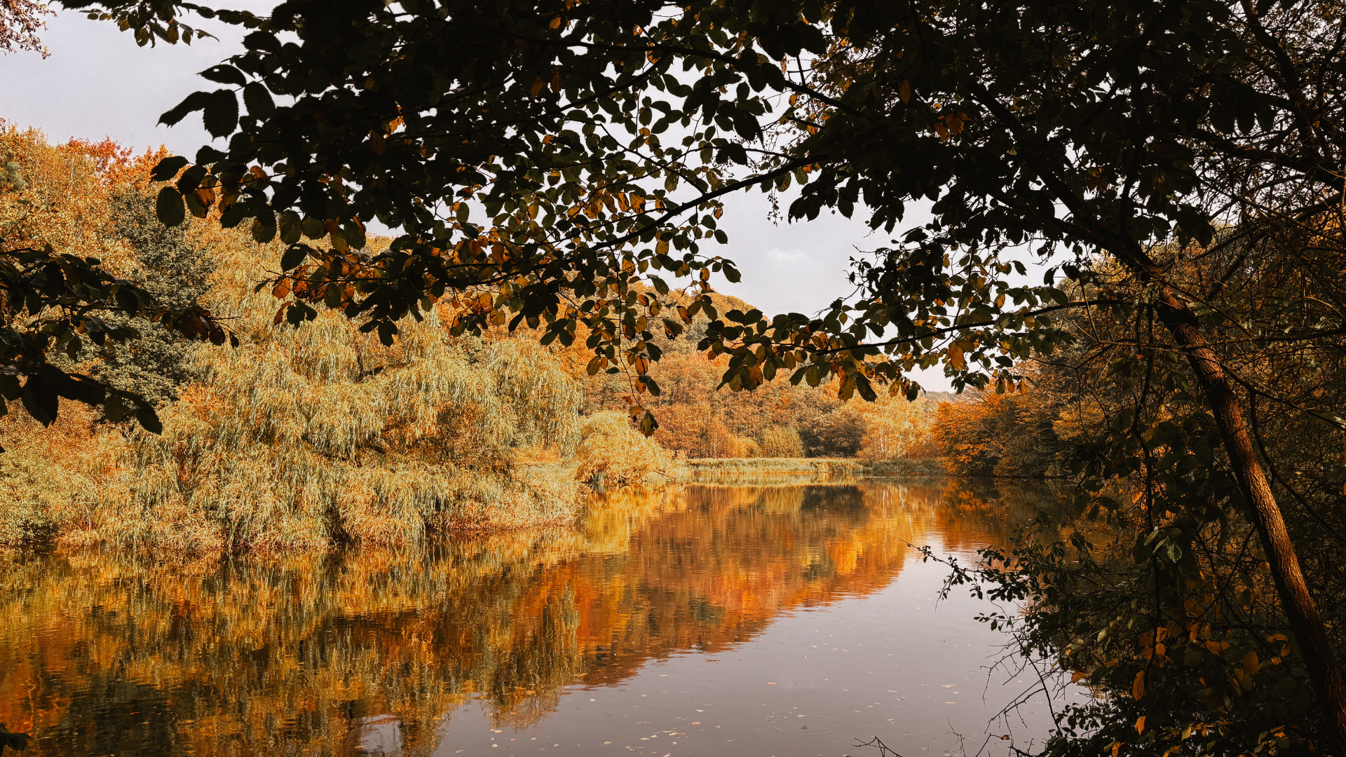 Møllesøen Vissenbjerg bakker
