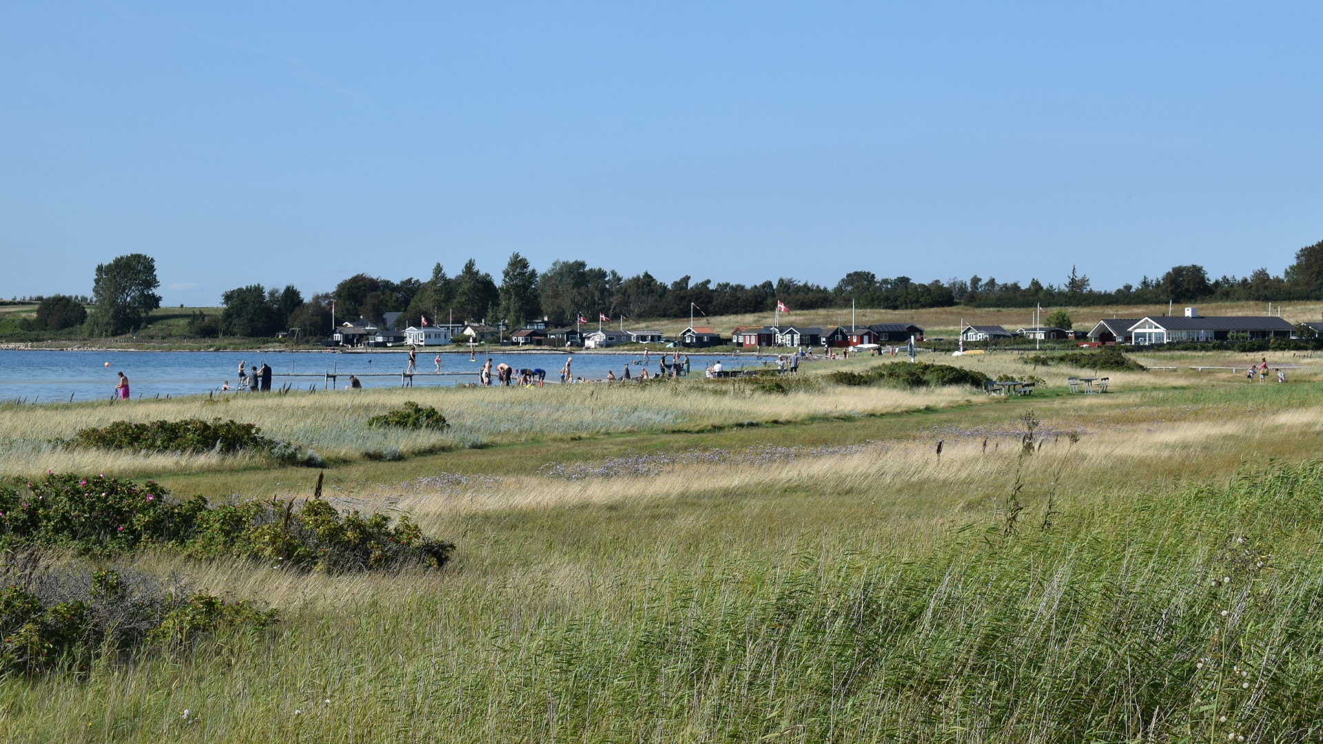 Føns Strand