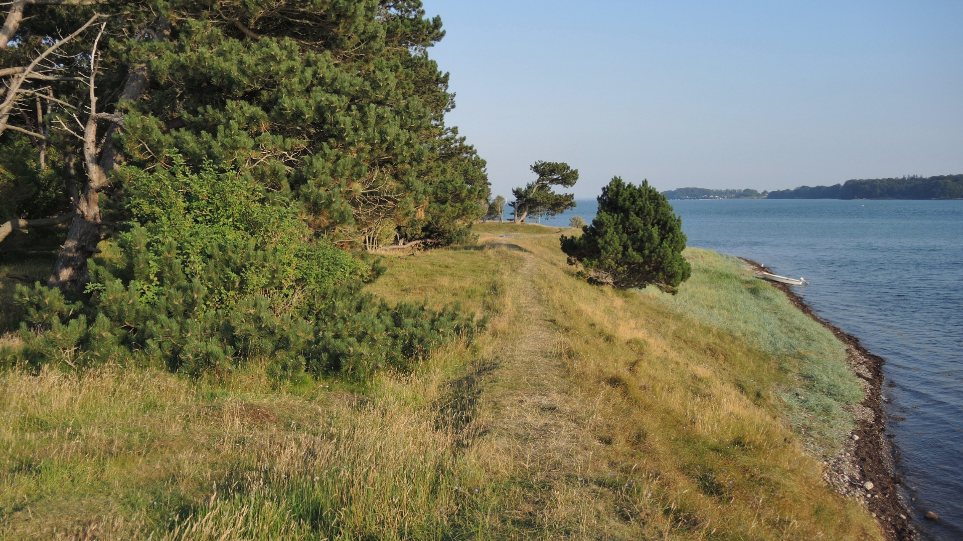 Fænø Sund og Gamborg Fjord - Naturpark Lillebælt og marsvinet | Bellis