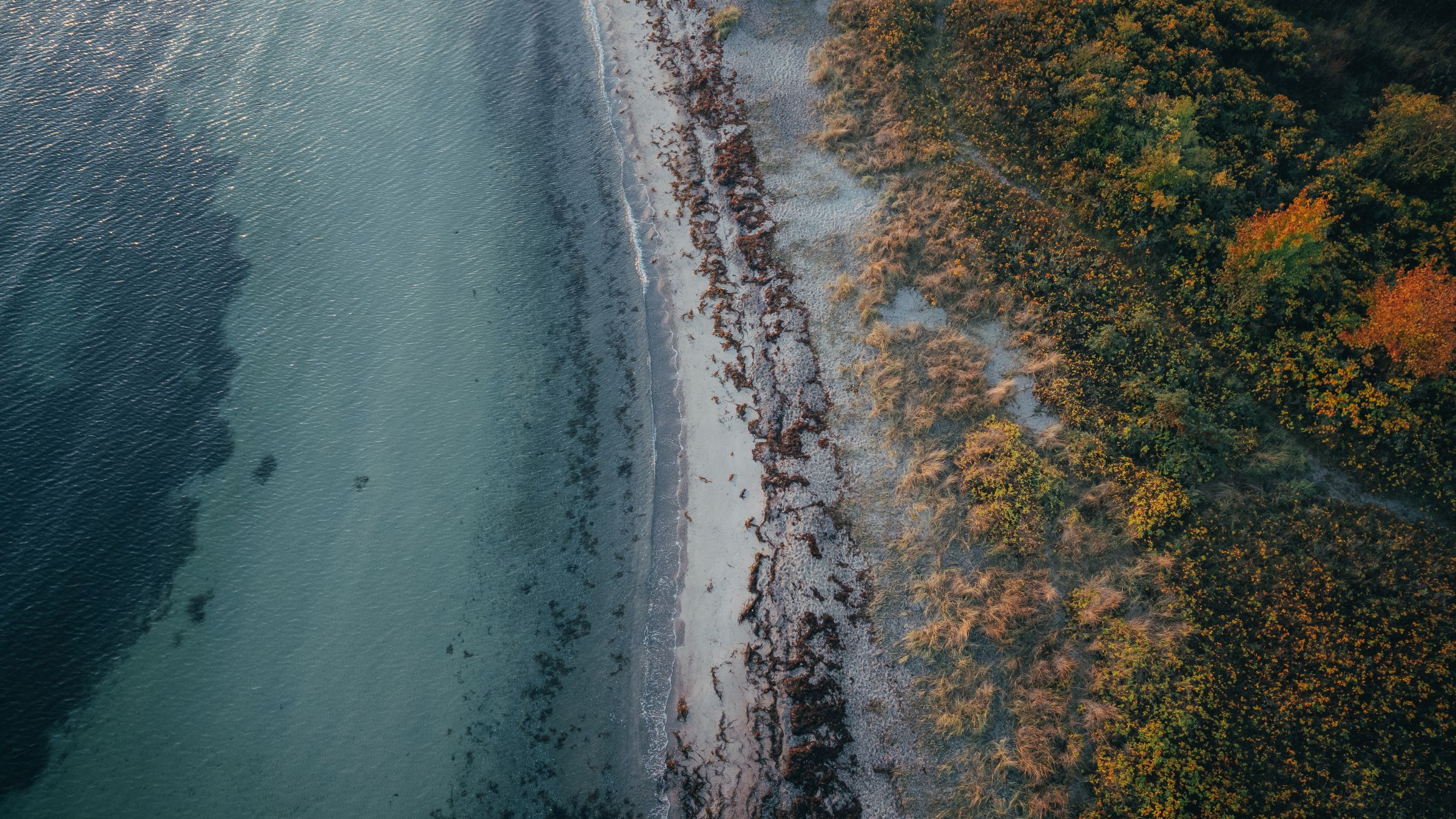 Aerial view of a coastline
