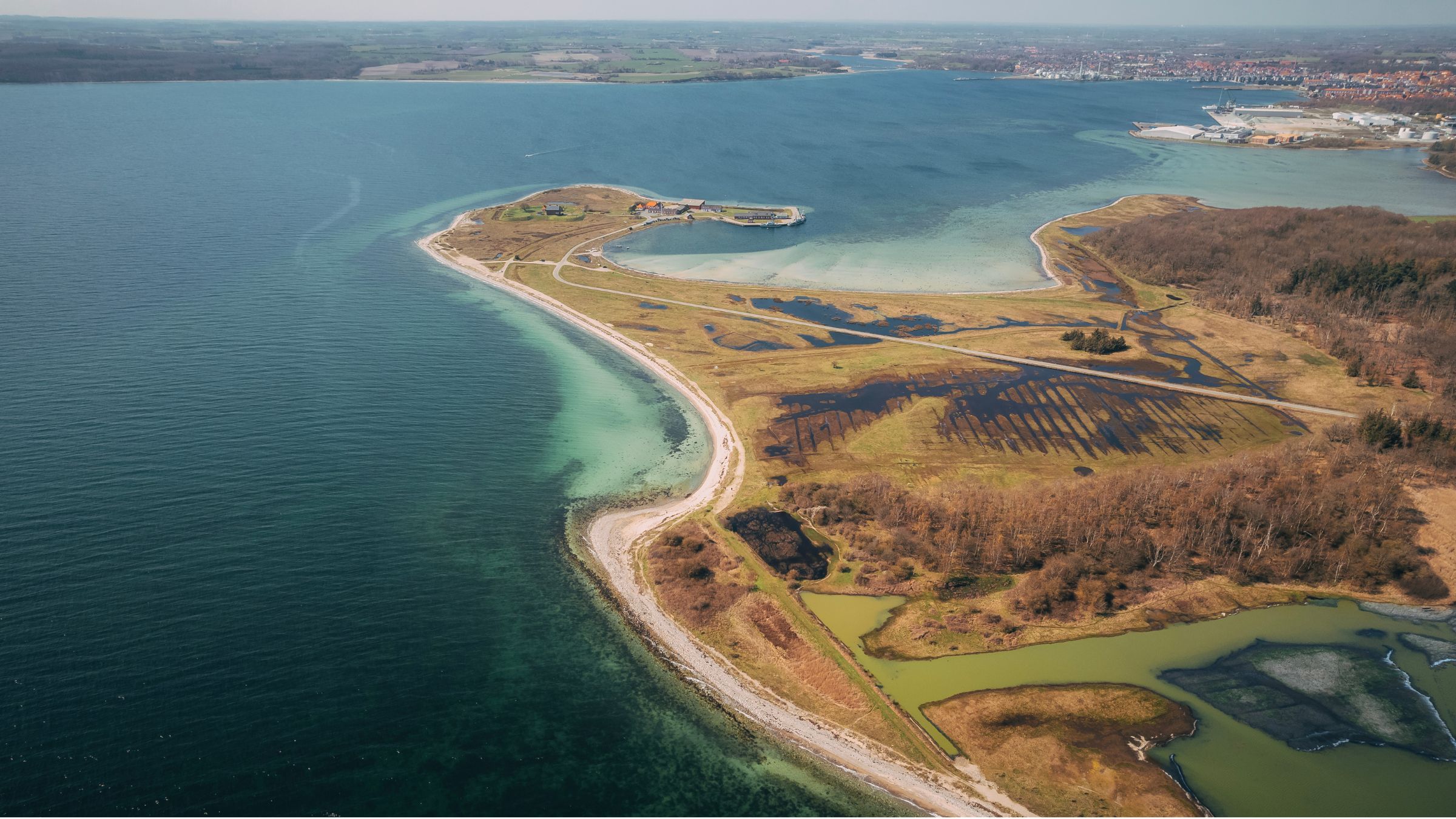 Aerial view of a coastline