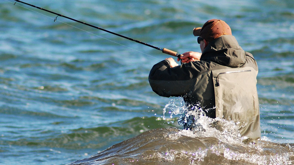 Seatrout Kajbjergskoven (28)