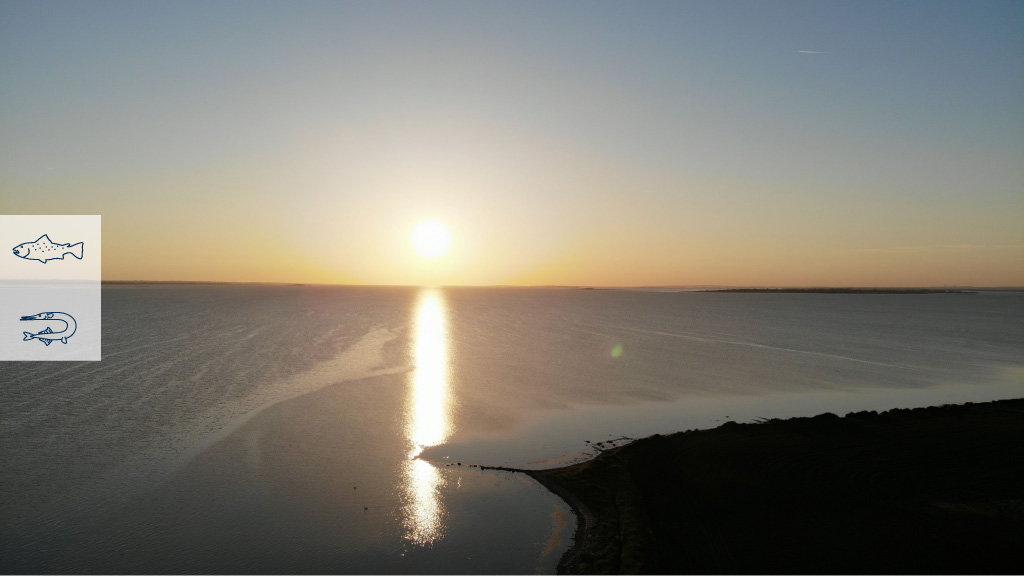 Fishing spot: Vesteregn