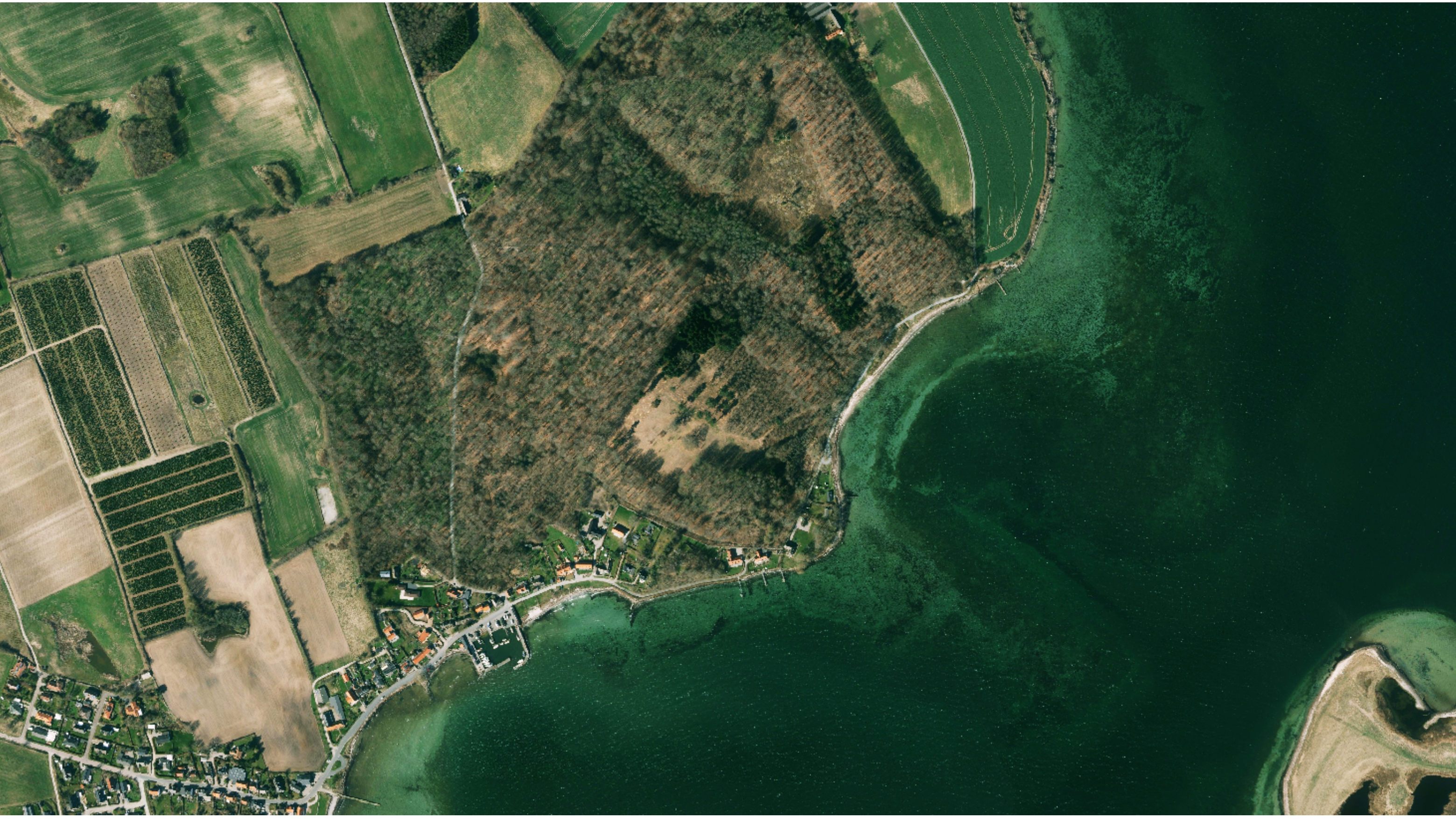 Dyreborg